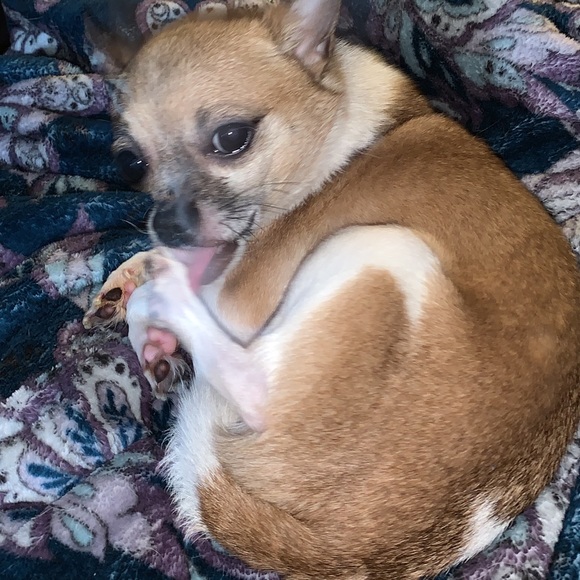 Meet your Posher, Vintage! - Picture 7 of 8